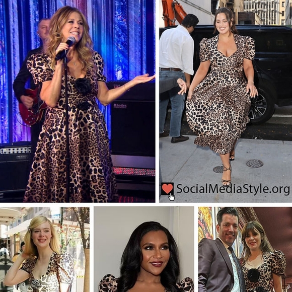 3 for $20☢️SHEIN-Leopard print dress,2xl,beige, black,contemporary - Picture 11 of 11